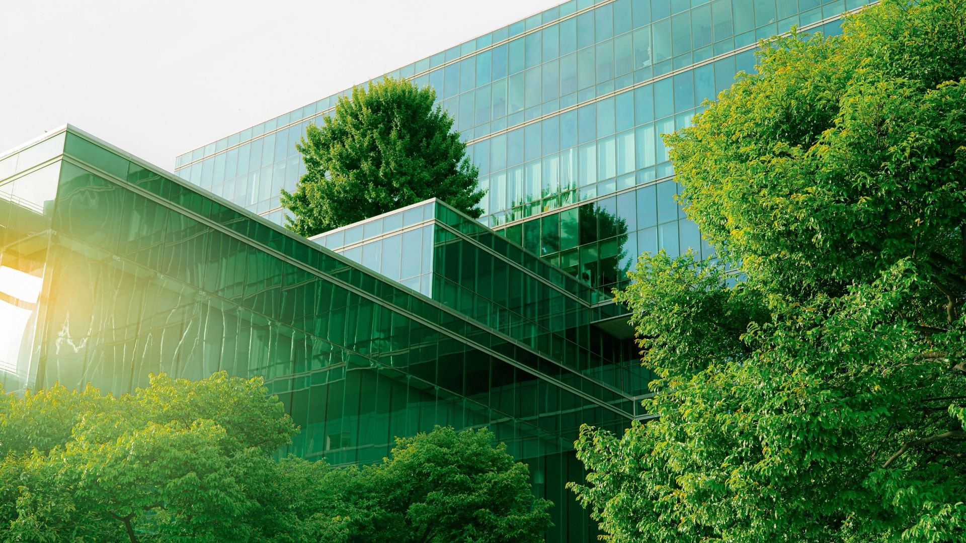 Sustainable technology